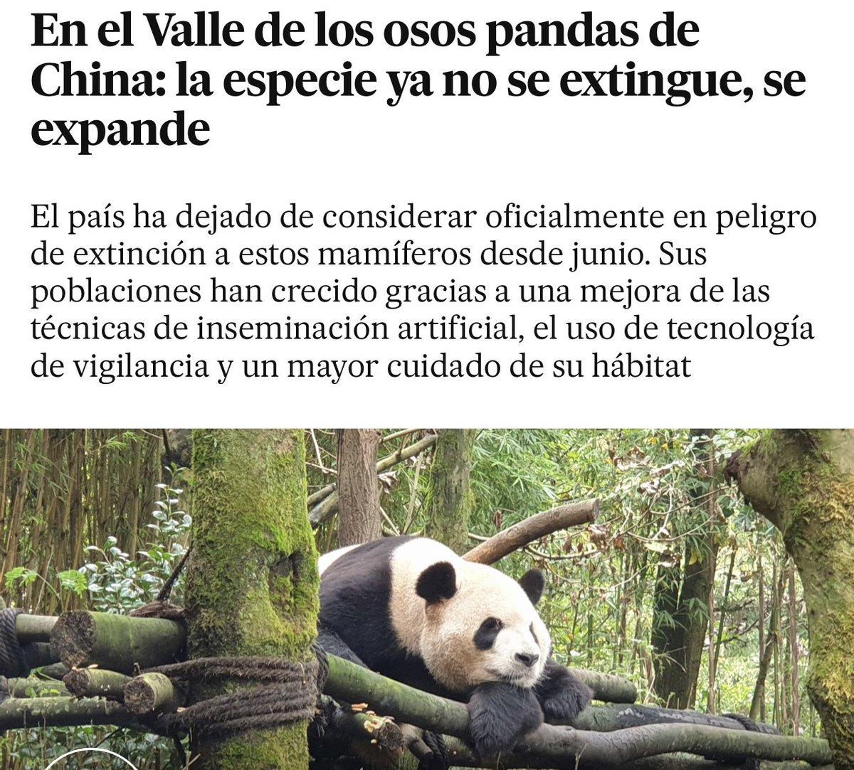 JuanGomezJurado's tweet photo. Me alegro de que la especie se exPANDA https://t.co/aLs6aTGRMR