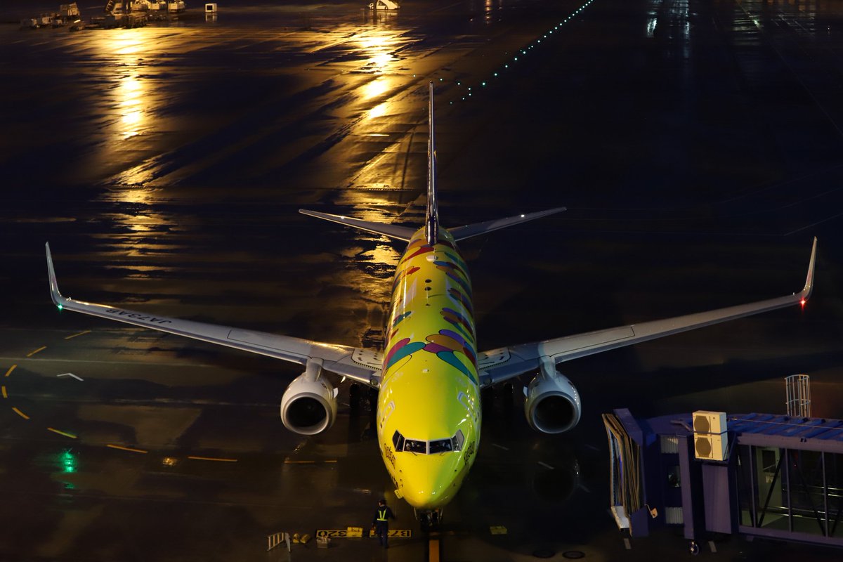 Centrairairport's tweet photo. 那覇から到着したスカイマーク554便はピカチュウジェットでした🎈セントレアはあいにくの天気ですが国内線エプロンでも一際目立ってます😁スカイマーク公式HPによると今夜はセントレアでステイ、明日の朝8:35発の551便として出発予定です！
https://t.co/zAtRn61N8w https://t.co/AZDLzbSkto