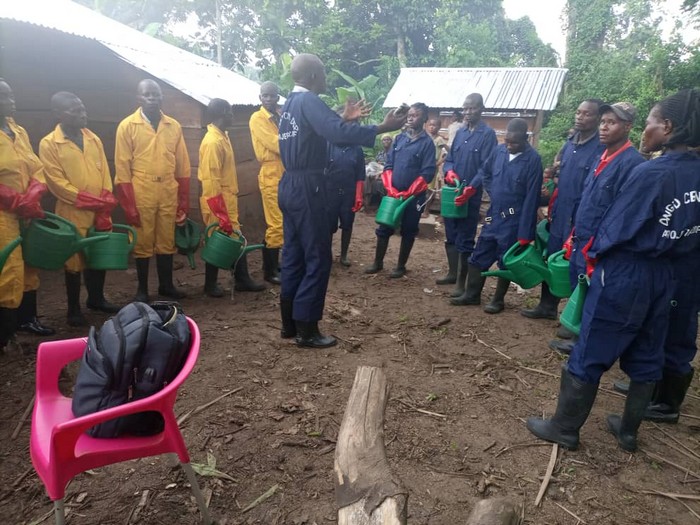 PACDF RDC : le peuple autochtone et communauté locale de Mombonkonda se lancent dans l’élevage de porcs à Inongo, bit.ly/3C5T0s9
