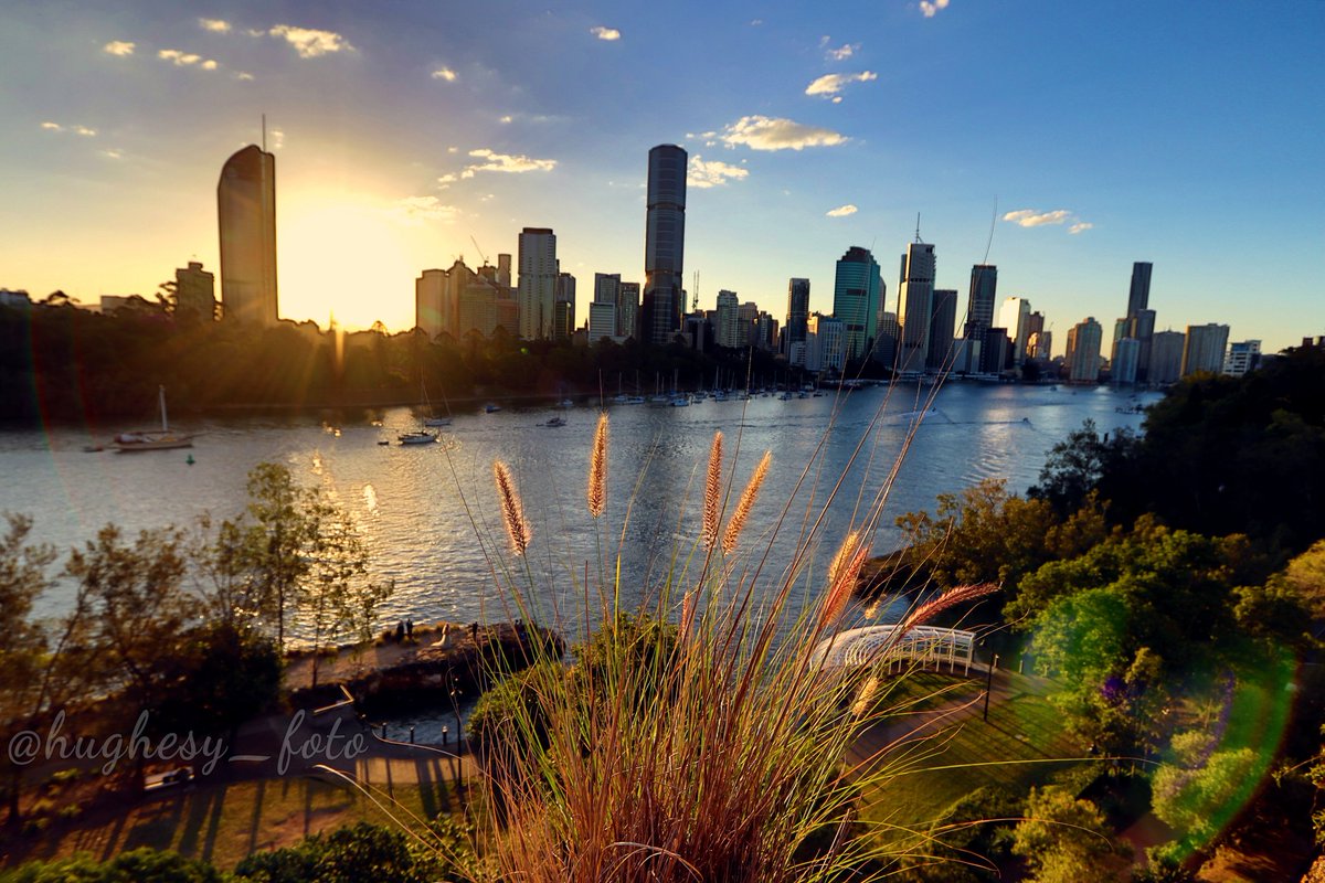 Hughesers's tweet photo. "Fluffy stick things, sunsets &amp; weddings"
#Brisbane @abcbrisbane @brisbanecityqld @visitbrisbane #Queensland @Queensland @QueenslandWalks #Australia @Australia @Australia #ThePhotoHour #ThePhotoChallenge @The_PhotoBattle #ShutterNutters 
https://t.co/ZzCwiy0GVG IG:Hughesy_foto https://t.co/3ccHaKH8XT