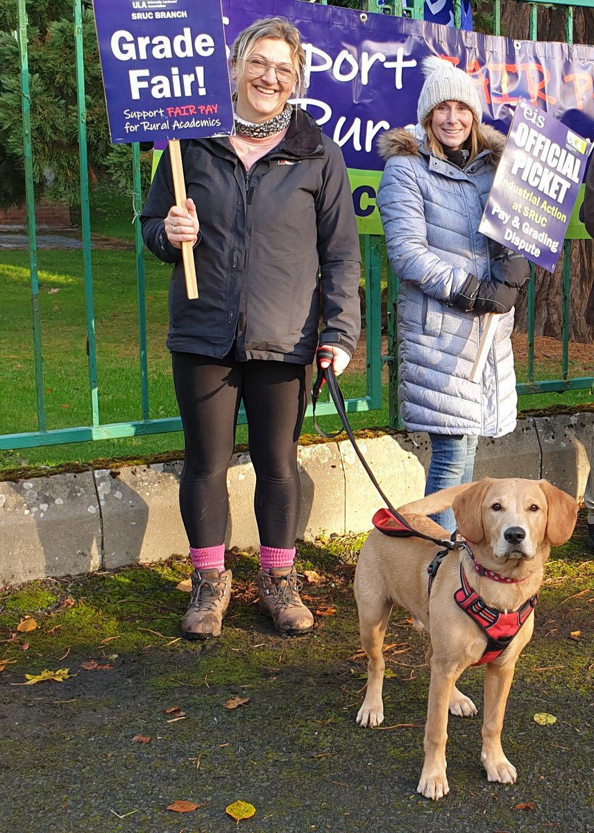 Pickets are growing as members remain firm and committed at Elmwood #dugsonpicketlines #fairpayforsruc <a href="/EISUnion/">EIS</a> <a href="/ULA_EIS/">EIS-ULA</a>