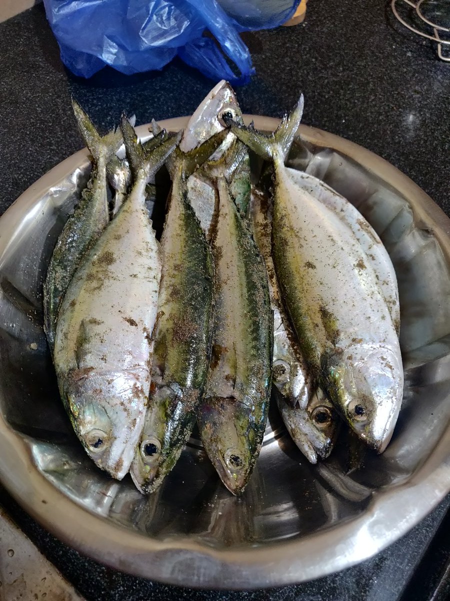 _A_r_v_i_n_d_'s tweet photo. Fish hi fish.....
#bangda https://t.co/EclPj7d8AA