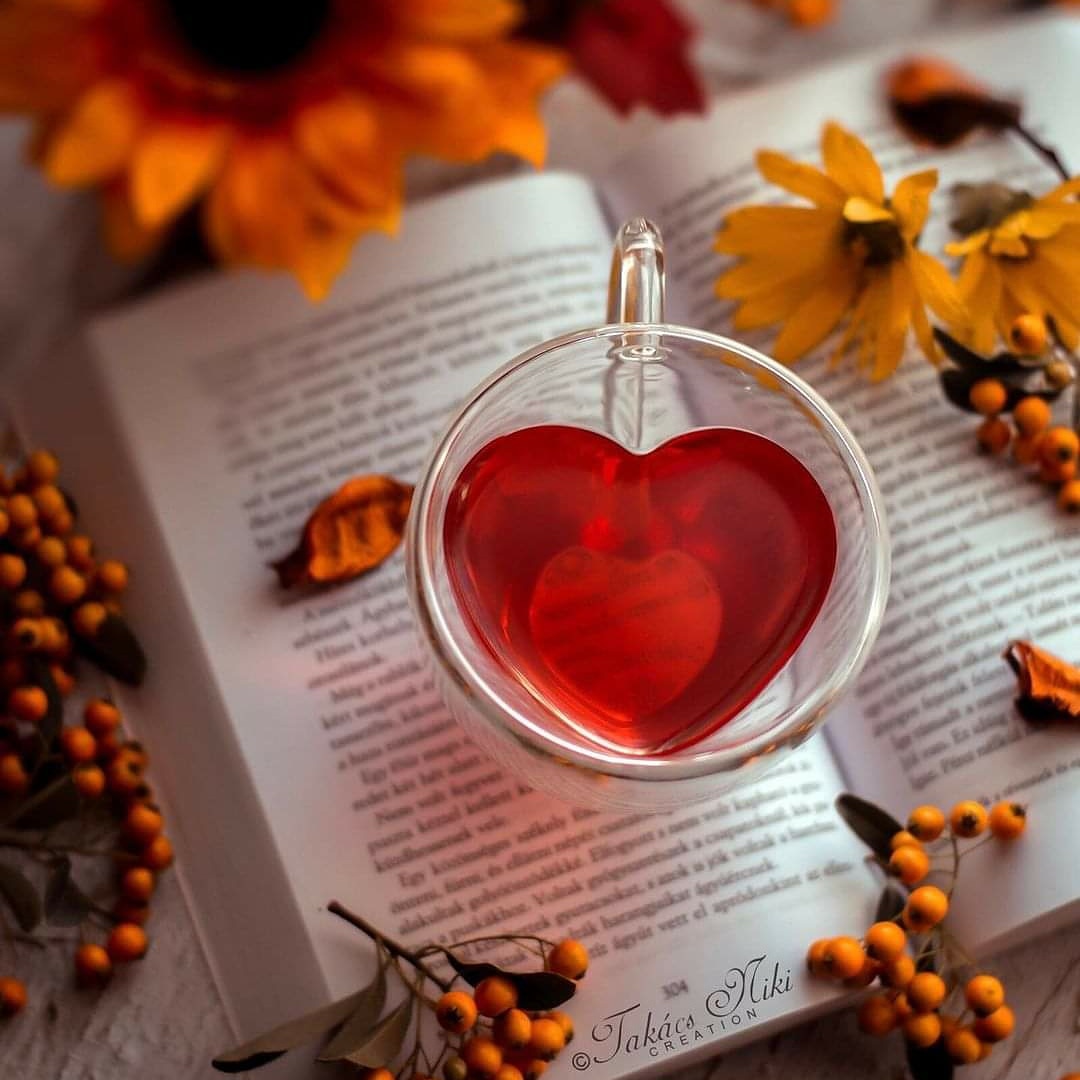 7days7books's tweet photo. Buenos días familia, comenzamos una nueva semana. 

Y esta es de mis favoritas los días anteriores a Halloween 👻🧛‍♂️🧟‍♀️🧚‍♀️🎃😅

Hoy traemos nuevas novedades para comenzar Noviembre os voy contando más en un ratito

#7days7books #bookstagramm #bookstagrammers #instabook #instalibros https://t.co/FXXdgUixCD