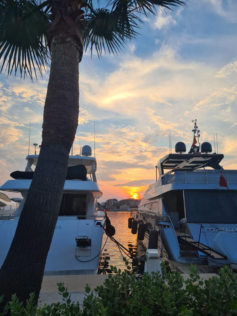 DeniaBoatShow's tweet photo. 🌅Los amaneceres frente al mar son nuestros favoritos. ¿Será por sus colores o por lo mágicos que parecen?🥰🌊

#turismonáutico #MarinaDénia #Denia #Mediterráneo #sunshine https://t.co/vrlAJXNxkT