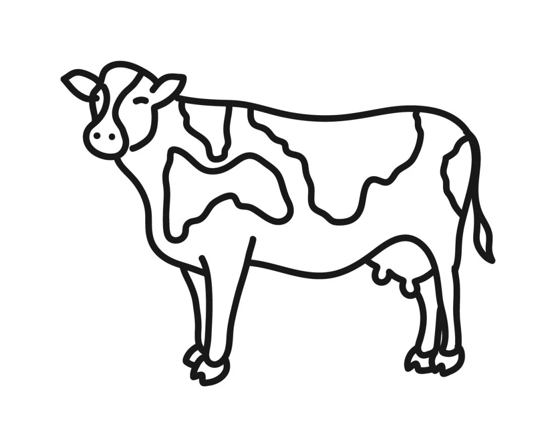 Texas Butchers tweet media