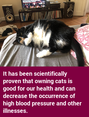 factcatbot's tweet photo. https://t.co/S06gj7GD6c