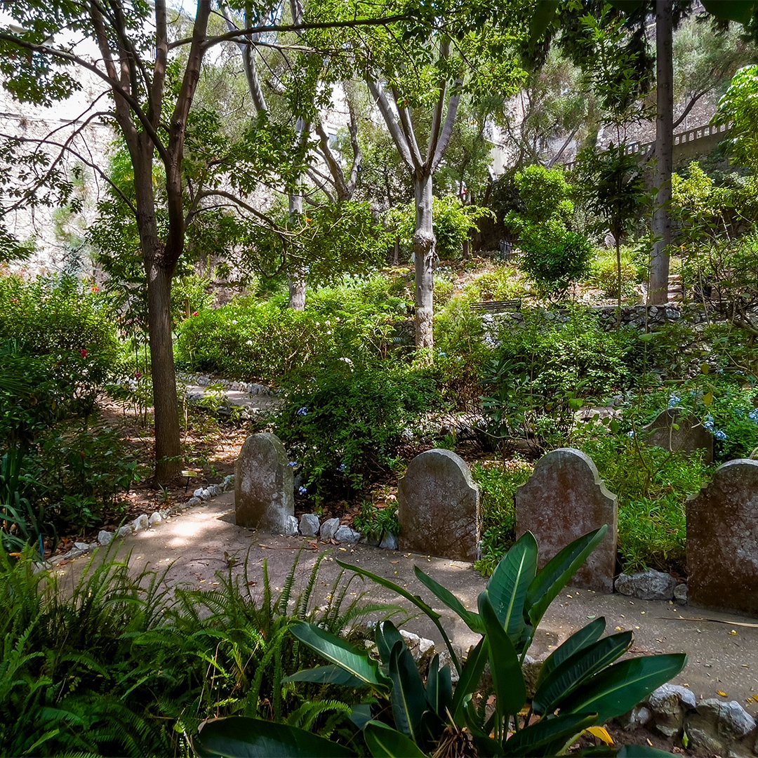 visit_gibraltar's tweet photo. The historic and peaceful Trafalgar Cemetery. | https://t.co/RzNn86Gvy5
#VisitGibraltar #Gibraltar #TimeToBeEnlightened https://t.co/kkBXSNmuo5
