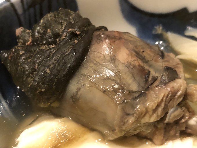 スッポンの頭と、黄色い皮下脂肪!
は〜…吉牛食べるのに躊躇ってた頃からは考えられん楽しさです!!
ほんでもって大分産のスッポンというだけあって、滅茶苦茶でかいから食べても食べても無くならないぐらいのボリューム!色々探し回って決めたお店でしたが、大当たりでした…! 