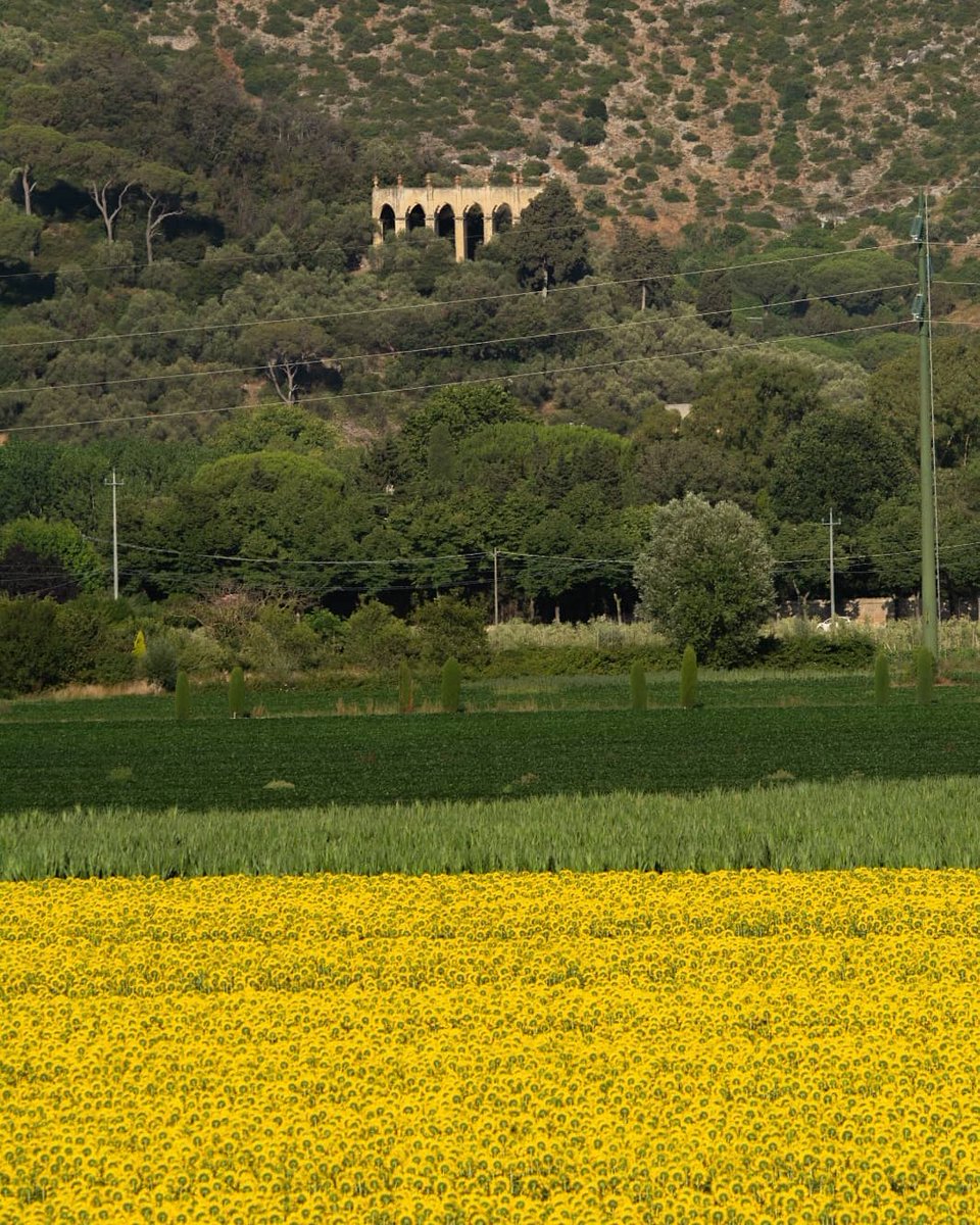 San Giuliano Terme was originally called after our resort: once called Bagni di Pisa, indeed, the town then changed its name by adding 'Terme' as soon as local thermal facilities entered into operation. Today our town boasts of extensive areas of outstanding natural beauty.