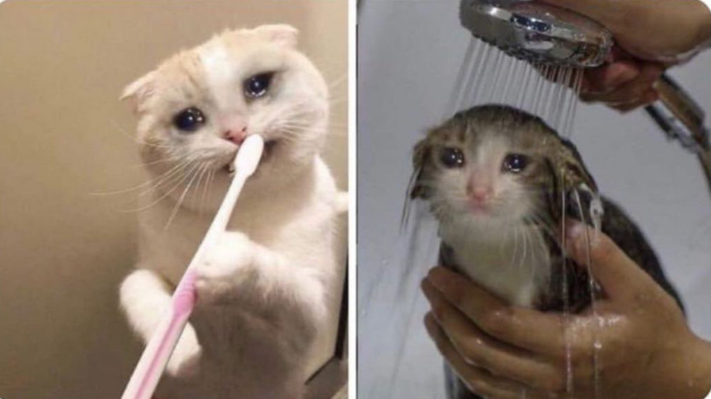 boohoo's tweet photo. Well if it isn't me on a Monday morning getting ready for work https://t.co/0S5ajkao8b