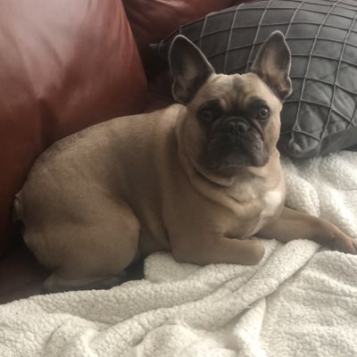 AuNewt's tweet photo. #NewProfilePic https://t.co/e8tVa9wyjN