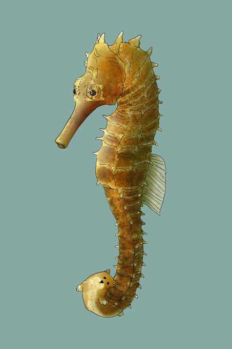 タツノオトシゴのtwitterイラスト検索結果