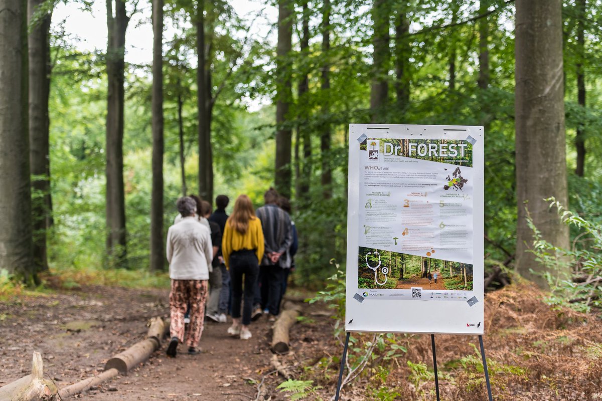 eu_forest's tweet photo. 4 young researchers set out to compare participants' #wellbeing before & after exposure to 1 of 3 different #forest settings with contrasting #speciesdiversity levels, or an #urbancontrol setting. More in Dr.FOREST blog: https://t.co/RVqEIJJonC #restoration #thermalcomfort https://t.co/sliF0EXuNk