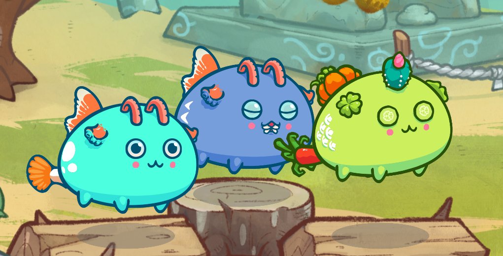 📢SWEET SARAP SPECIAL 📢

My boy @AxieSpike let me take these cute boys out for a spin, I'm hyped!

In other news we made our sponsorship goal and we are giving away 2 more scholarships today after the stream!

Stop by if you want to enter - twitch.tv/matdefies