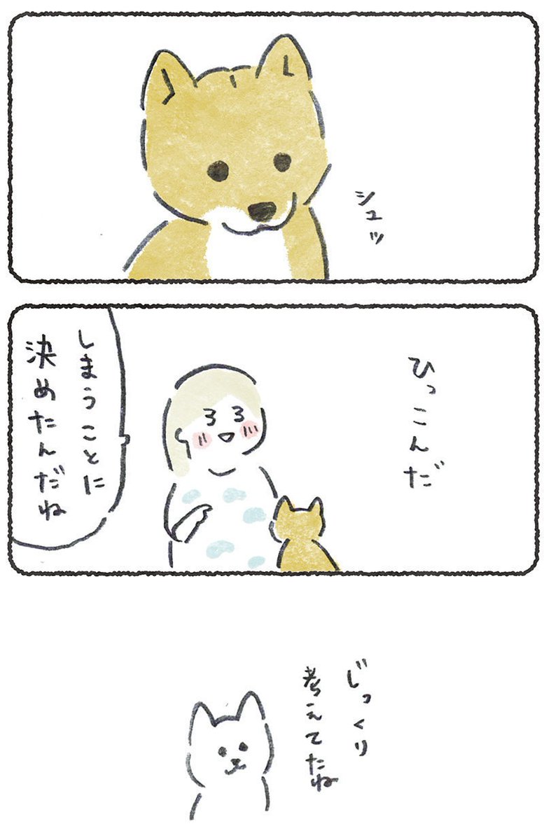 犬は犬で生活してるのがたまらない😍

リプにつづきが読めるURL貼ります
(10月26日.10時までどなたでも)
#豆しばこつぶ 