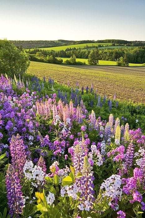 OnlyNatureplace's tweet photo. Beautiful  ♥️ https://t.co/jNyB9IsqzS