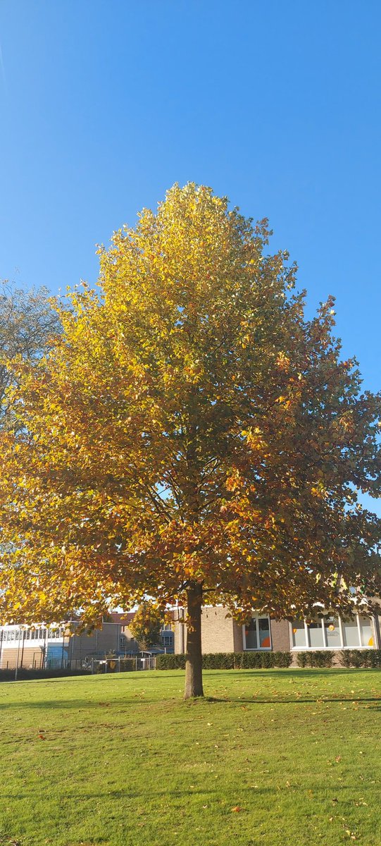 LivingCozy's tweet photo. Taking time to make our souls #happy! This will be a a #beautiful, fun, wonderful week, let's start the celebrations! @dutchtcapital
πΈ LivingCozy
ππΎπ₯πβ€
#fallholidays #weddinganniversary #19thyears #mybirthdayweek
#BlessedAndGrateful #fall #autumn
#mondaythoughts https://t.co/GNVdR6RNBp