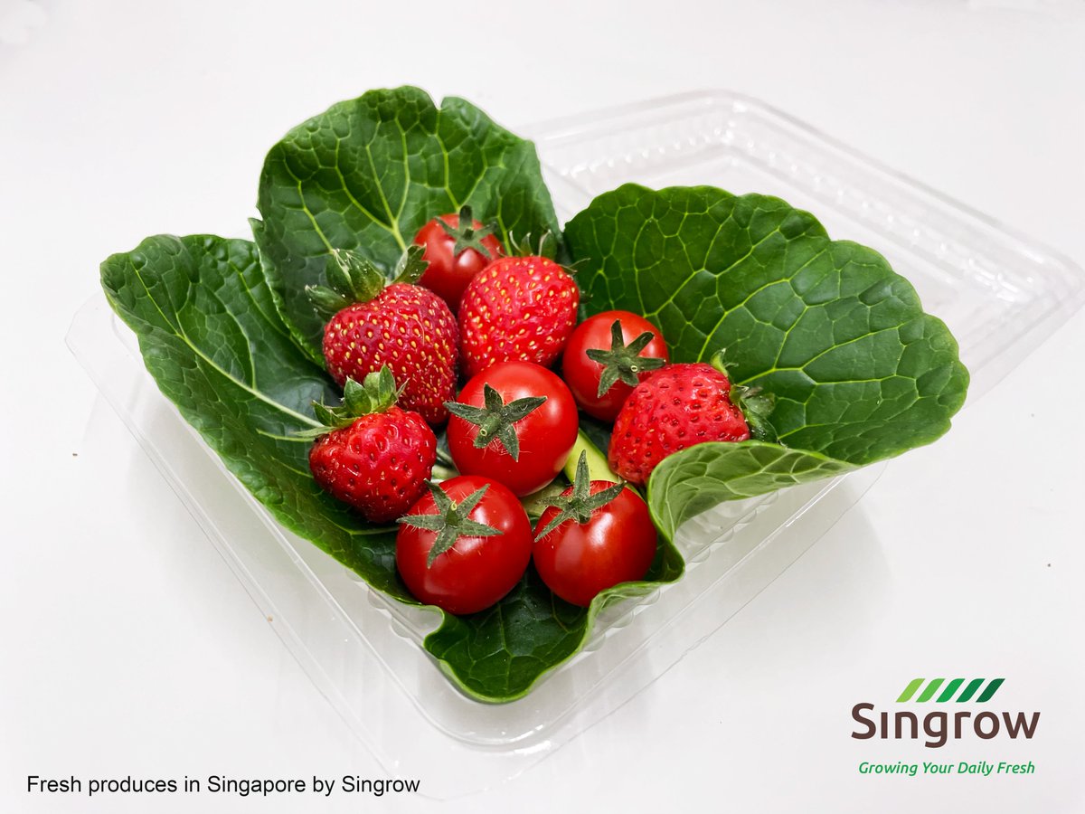 Singrow‘s premium selections: Ruby Strawberry, Cherry Tomato and Komatsuna Spinach.

Welcome to Singrow and pick-up your favorite selections (contact: singrow.sg or sales@singrow.sg)