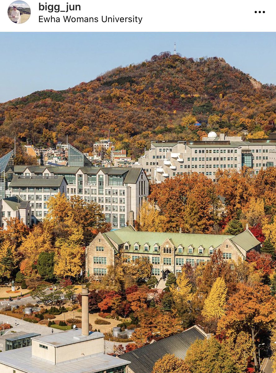 NAMSAN_MAI tweet picture