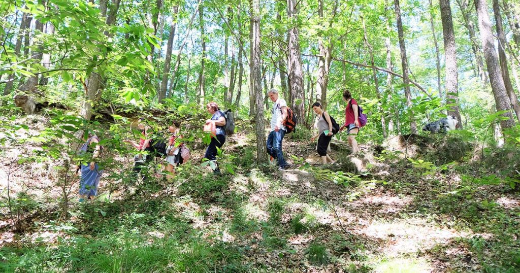 Le Chemin de la Nature tweet media