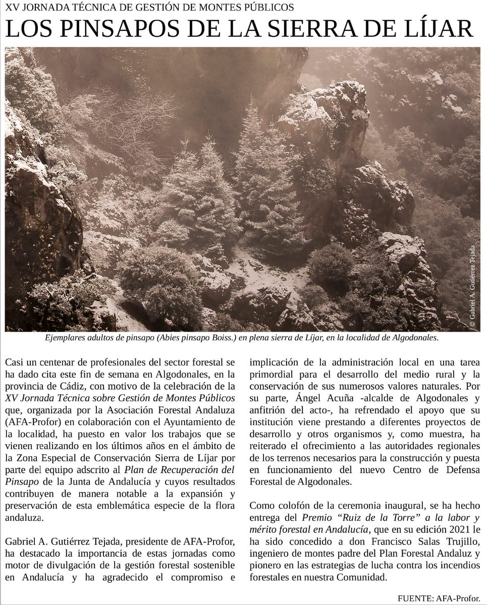 Las actividades continuaron en campo con la XV Jornada Técnica AFA, dedicada en ésta ocasión a los Pinsapos de la Sierra de Líjar.

Pudimos visitar a pié este singular enclave observando los trabajos del Plan de Recuperación del Pinsapo de la mano de técnicos y agentes de la zona