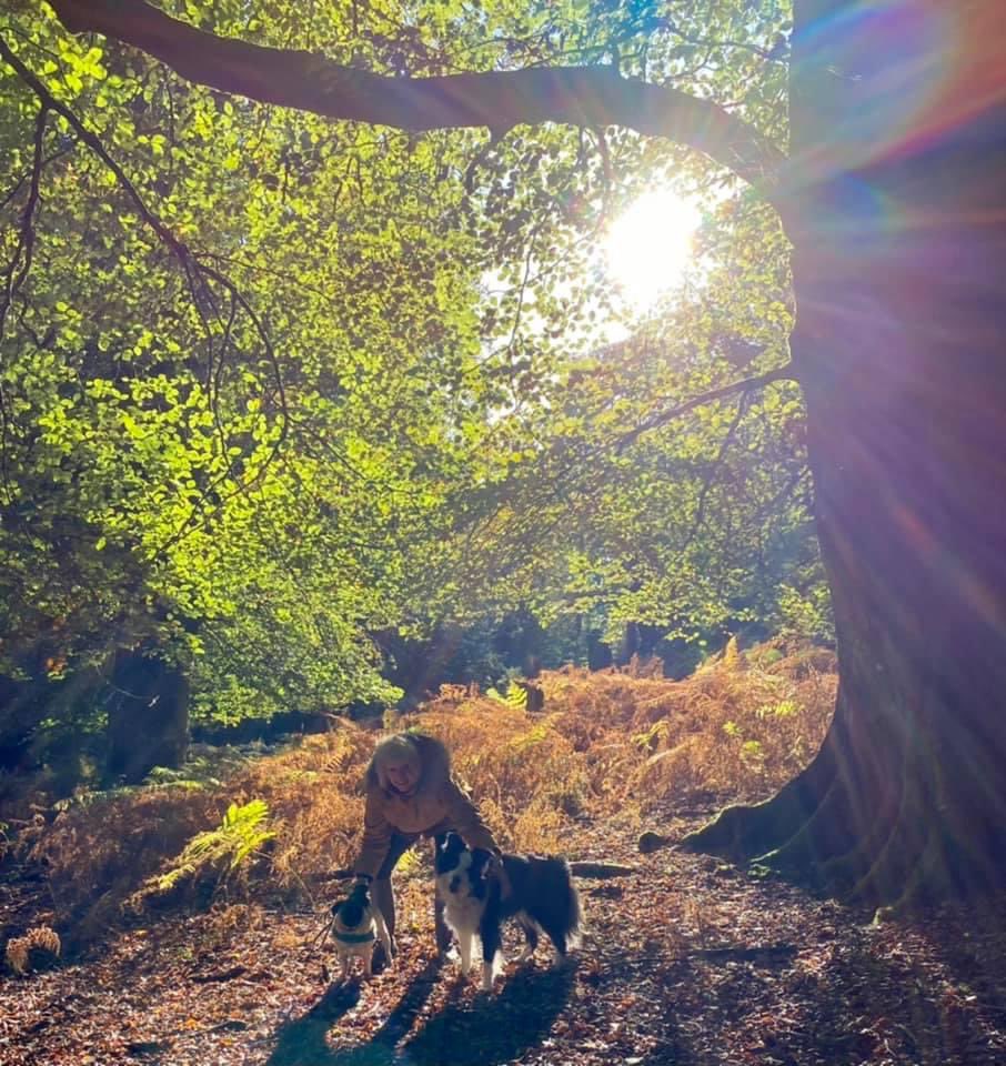 MagicalMerlinBC's tweet image. 🍁 Autumn treasures 🍂 Merlin 🧙‍♂️ 🐾 
#Autumnvibes #Autumn #dogwalk #adventure #TheNewForest #Nature #autumnwatch #BorderCollie #Pug #dogslife #doglovers #dogsoftwitter #dogs