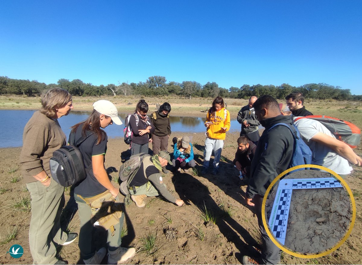 SalinasSPedroPR's tweet photo. 😃 Ana, guía del #ServiciodeInformación de #SalinasSPedroPR, se forma en el curso de "Interpretación e identificación de rastros de fauna mediterránea"🐾 para aplicar el rastreo como herramienta pedagógica en los #EspNaturalesMurcia 🔝
Con @RastreoSerafo @Vivencia_dehesa https://t.co/AdsdPF31hI