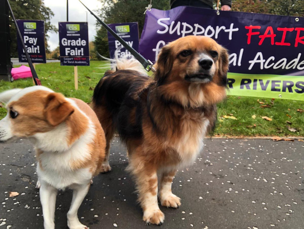 Members are out at Ayr Campus showing their support for #fairpayforsruc along with #dugsonpicketlines 
<a href="/EISUnion/">EIS</a> <a href="/ULA_EIS/">EIS-ULA</a>