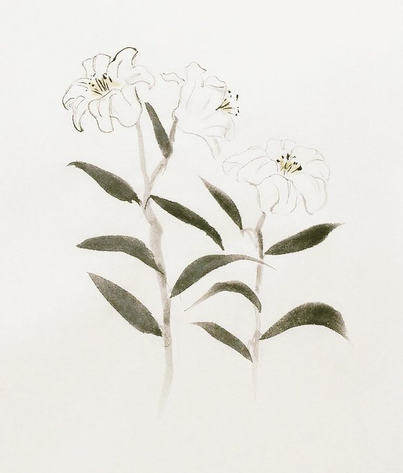 百合の花のtwitterイラスト検索結果