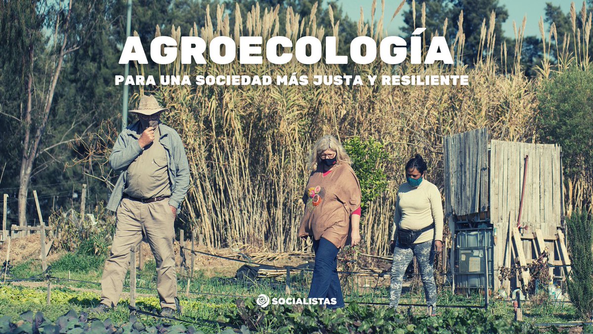 claudiaebalague's tweet photo. En el mes de la #agroecología, no queríamos dejar de compartir info sobre esta práctica de producción, distribución y consumo de alimentos que busca alcanzar la #soberaníaalimentaria y, con ello, una sociedad más justa y resiliente. 👇 https://t.co/i9noeSqiwr