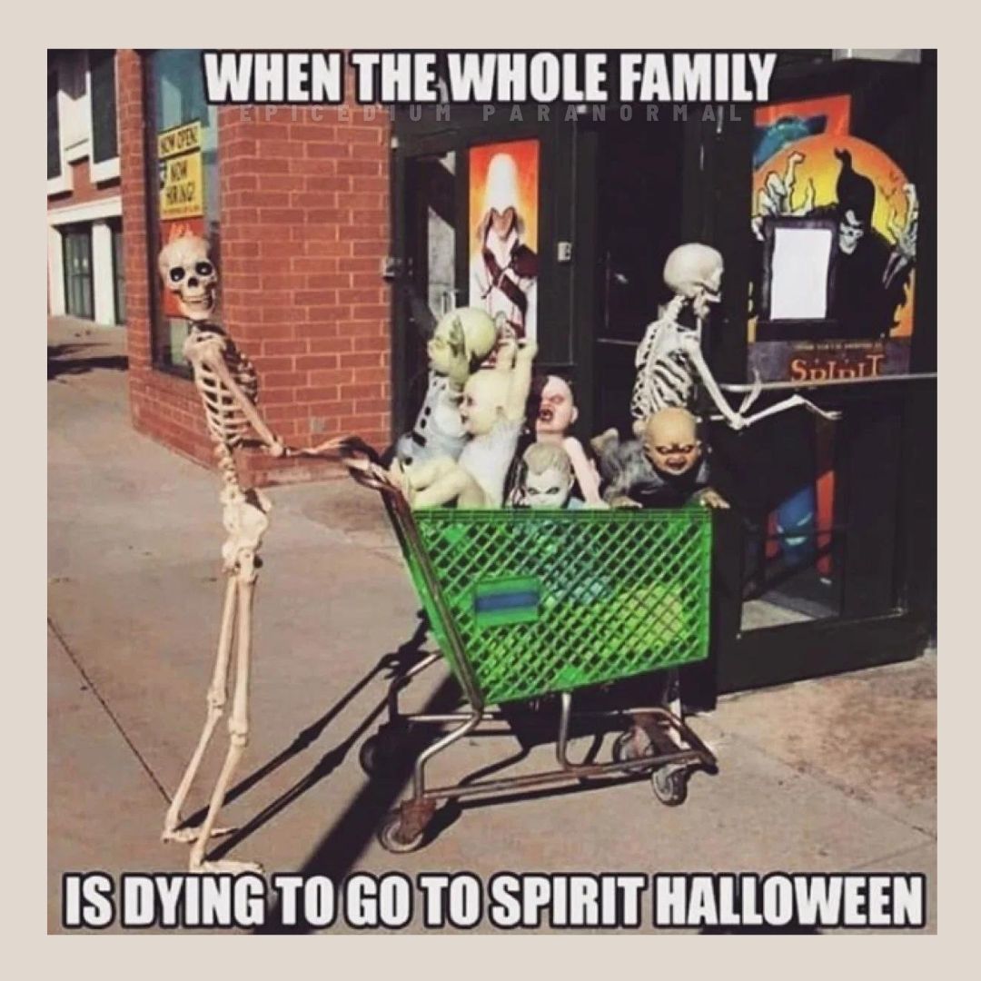 EpicediumNJ's tweet photo. 6 more days until halloween, ghouls!  👻 Are you ready?

#epicedium_paranormal #paranormal #halloween #countingdown #spookyseason #paranormalinvestigators #letsgetstrange #highstrangeness #linkinbio #exploringtheunknown #staycurious https://t.co/dMyVCRBAKu