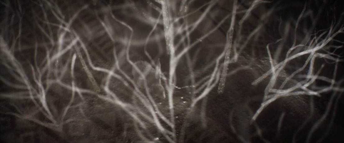 filmotreides's tweet image. “we call that one muad’dib” 

dune (2021) dir. denis villeneuve