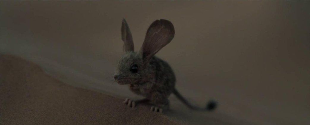 filmotreides's tweet image. “we call that one muad’dib” 

dune (2021) dir. denis villeneuve