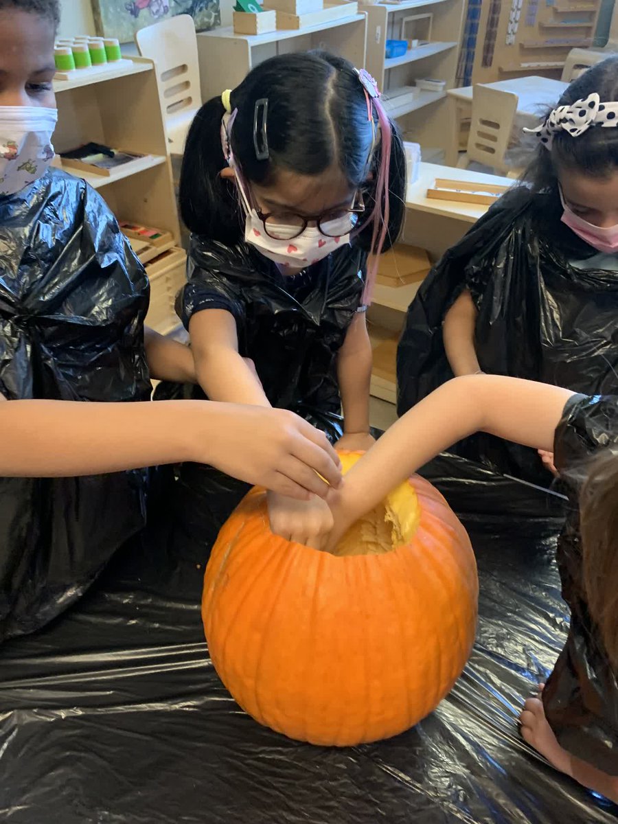 VMPPolaris's tweet photo. We explored the insides of a pumpkin!

#polarisoh #primary #sensorial #pumpkinexploration #montessori #reggio https://t.co/epyvurVhJy