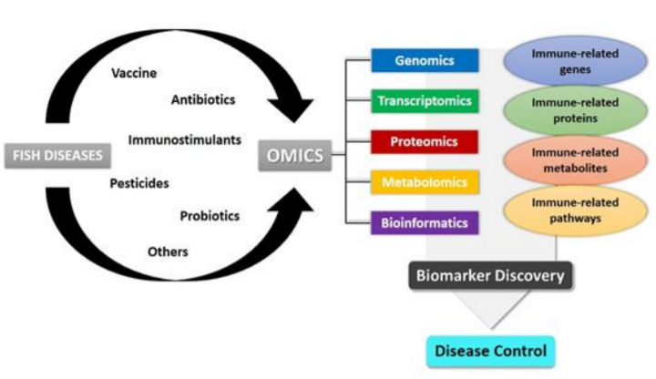 Biology_MDPI's tweet photo. Omics Strategies in Current Advancements of Infectious Fish Disease Management https://t.co/8Dz5JQQsM7 #mdpibiology via @Biology_MDPI @ukm_my
#multi_omics #fish_disease #aquaculture #metabolomics #proteomics #biomarker https://t.co/Xf6AE1IMie