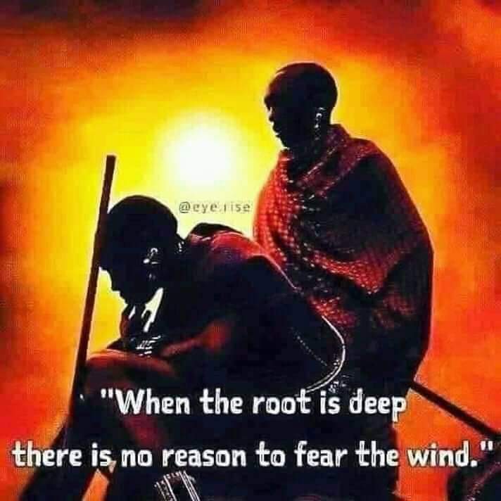 Emakhosini_'s tweet photo. "Steady will be thou tree 🌳 with deep roots"... My Faith in my Ancestors is like the roots of thou tree 🌳 

#Ndauwe👏🏾👏🏾
#LesediKganya🕯
#NtatemogoloKoena🐊 https://t.co/EBIZDYquOX