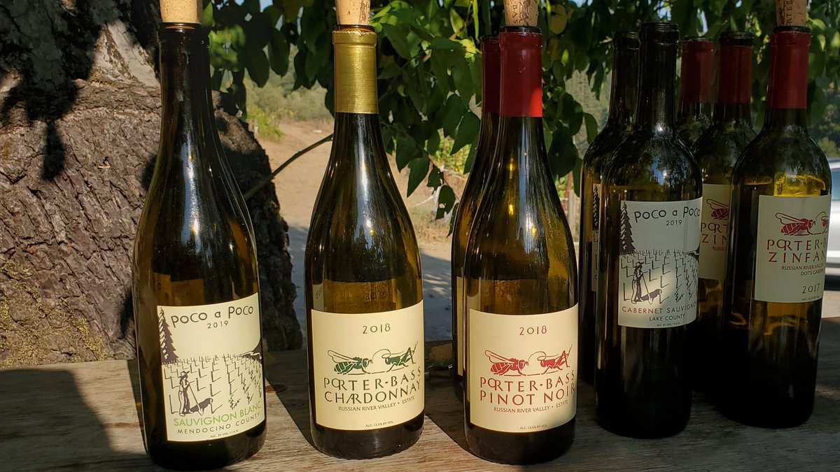 Since 1980, Porter-Bass Wines has pioneered #biodynamic farming practices that encourage vines to be more in balance with their environment - by using closer vine spacing, changing row direction to north/ south, and carefully selecting rootstocks and varietal clones. 🍇🍷