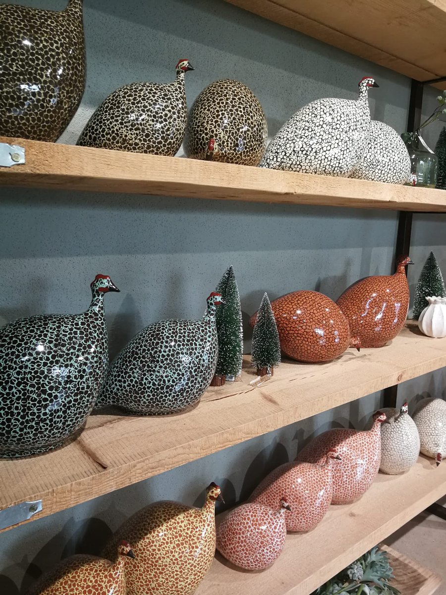MontaltoEstate's tweet photo. Montalto Members, don’t forget there isn't long left to enjoy your 10% off Guinea Fowl in Oct. A beautiful and unique gift for friends and family. 

Use your Spend Local card to be entered into a draw to win annual membership and £20voucher. 
#membersoffer #guineafowl #spendlocal https://t.co/MZNwyDY6y9