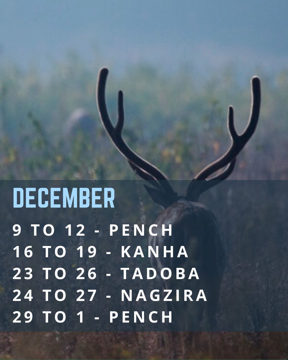 Footloose_India's tweet photo. First of our Winter #wildlife camps has already begun!We have many destinations and dates lined up in the coming months,and for those who wish to #travel on dates beyond the listed ones,we are always up for customizations.Get in touch for details about Winter Wildlife Camps 2021 https://t.co/9PmRKEsKNx