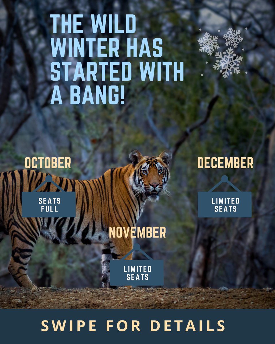 Footloose_India's tweet photo. First of our Winter #wildlife camps has already begun!We have many destinations and dates lined up in the coming months,and for those who wish to #travel on dates beyond the listed ones,we are always up for customizations.Get in touch for details about Winter Wildlife Camps 2021 https://t.co/9PmRKEsKNx
