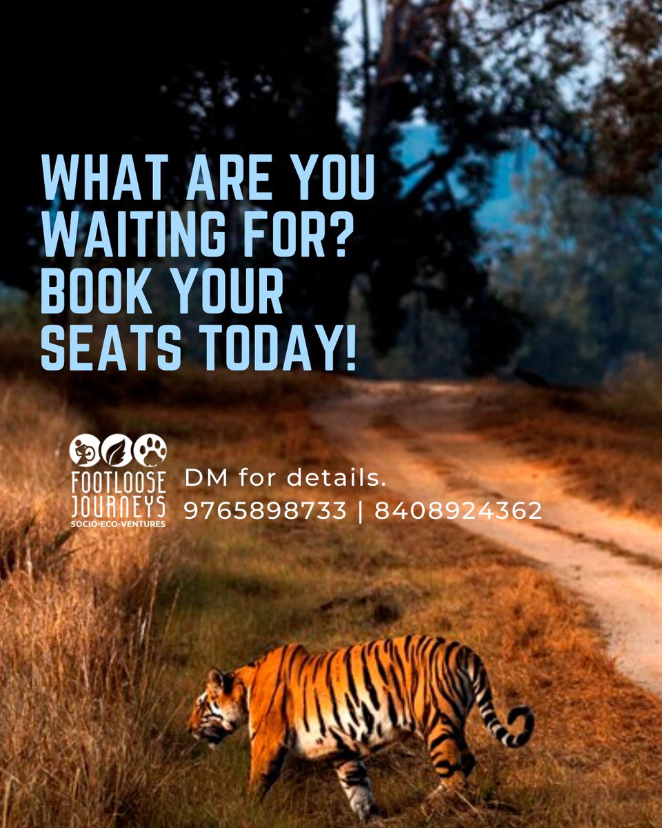 Footloose_India's tweet photo. First of our Winter #wildlife camps has already begun!We have many destinations and dates lined up in the coming months,and for those who wish to #travel on dates beyond the listed ones,we are always up for customizations.Get in touch for details about Winter Wildlife Camps 2021 https://t.co/9PmRKEsKNx