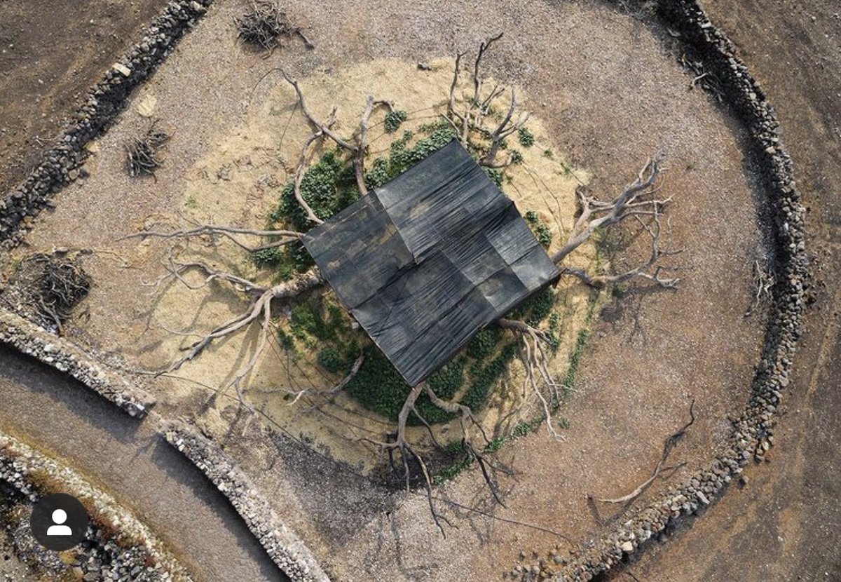 lulafoto's tweet photo. Under its open-air "reanimation tent", a symbol of the fires that have devastated Sardinia and Montiferru, the thousand-year-old olive tree of Cuglieri is now fighting for its survival. #nature #wildfires #environment #future https://t.co/eZTr8iCJdl