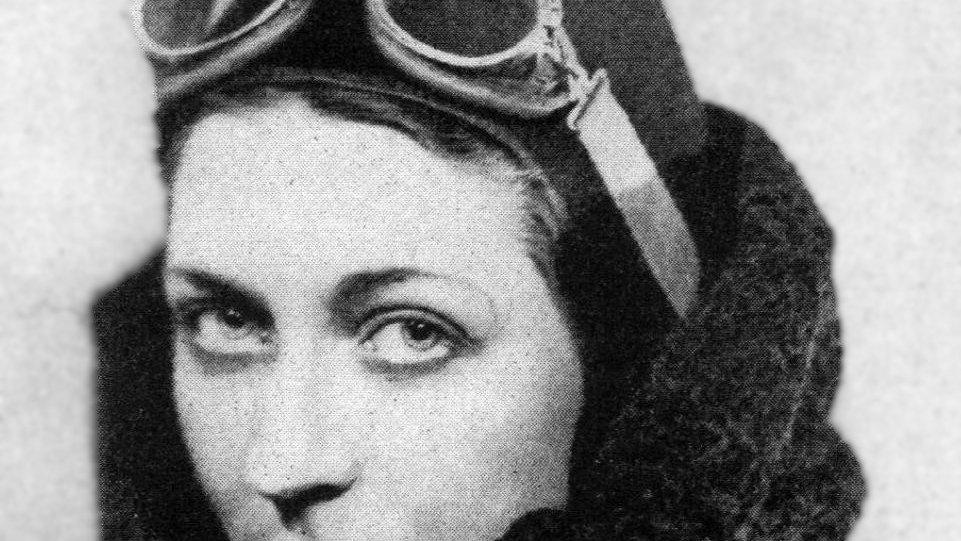 The Earth Museum tweet media