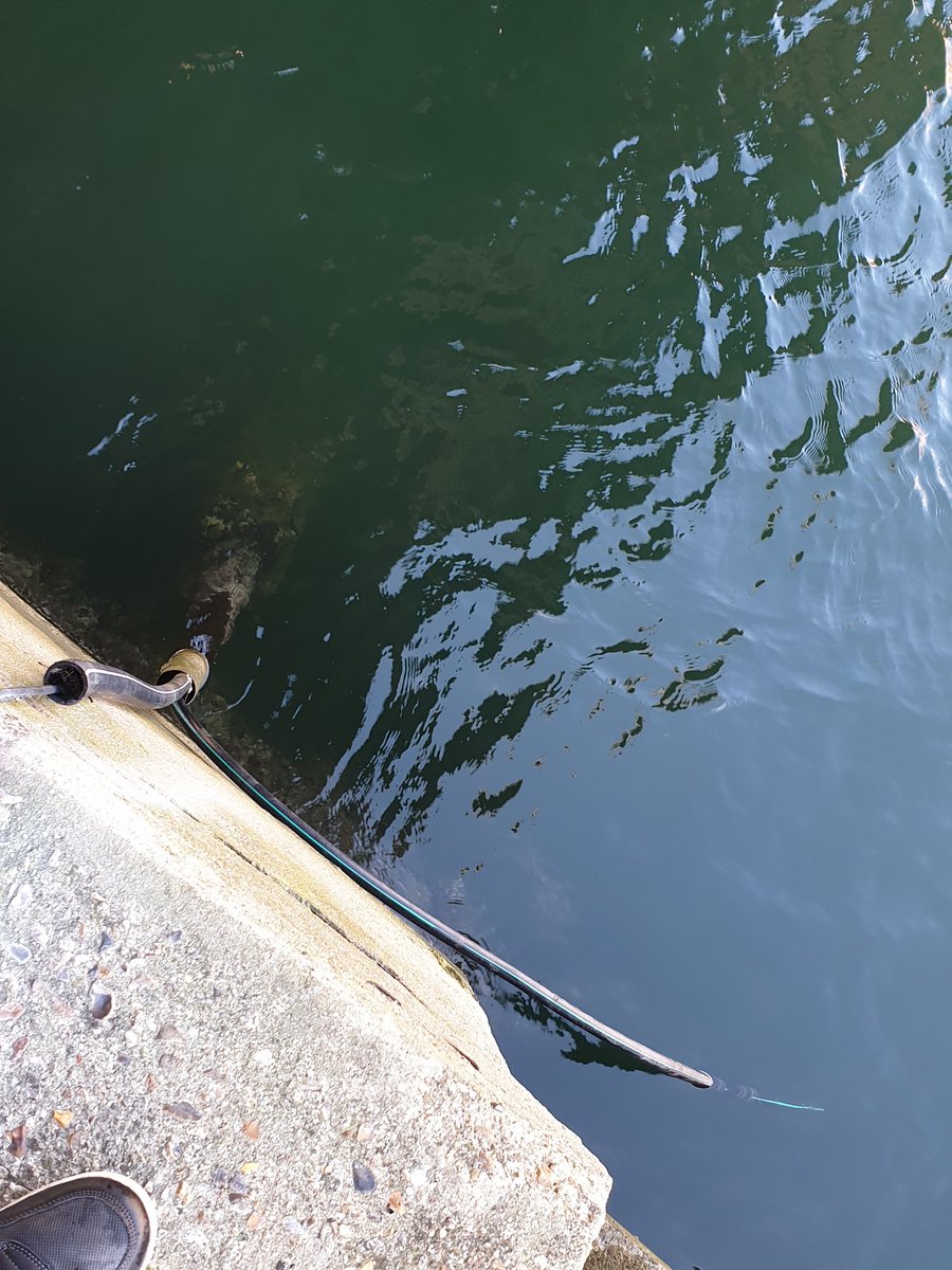 BriceAstruc's tweet photo. Bon, il est a qui le câble de fibre sur le pont Vauban au Havre ? Ça va plus tenir longtemps.
@LH_LeHavre @Orange_France @Covage_NORD https://t.co/qKI4mgJJ4q https://t.co/8YXDIMDlzF