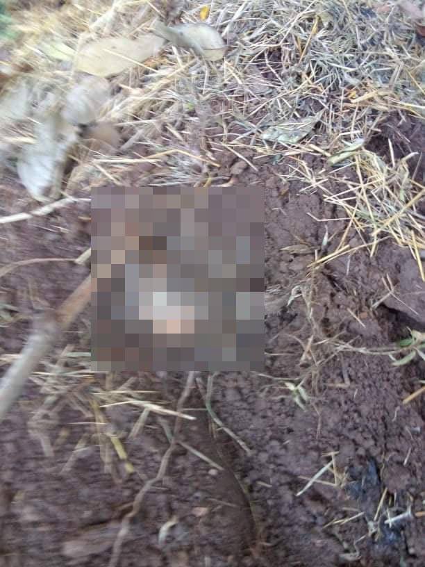 The body of U Aung Myint was found buried #Ywarthit village#Kawkareik,#Karen.He was missing on Oct18 after returning to guard his relatives’ home near,Junta troops deployed amid clashes b/t KNLA. #WhatsHappeningInMyanmar #Oct25Coup  #FreezePaymentsToJunta