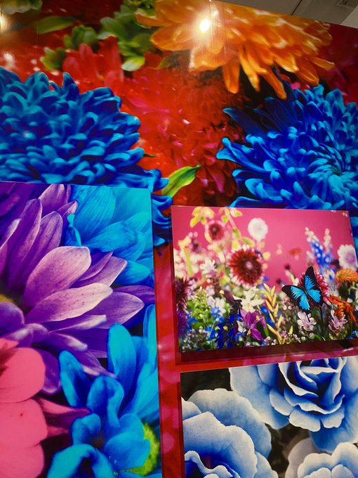 蜷川実花さんの展示会に行ってきた🥰
写真ももちろんすごいのだけど、空間デザインも素晴らしすぎる!! 