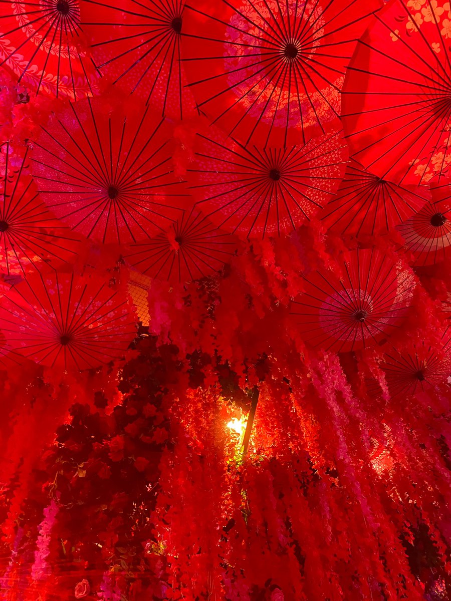 蜷川実花さんの展示会に行ってきた🥰
写真ももちろんすごいのだけど、空間デザインも素晴らしすぎる!! 