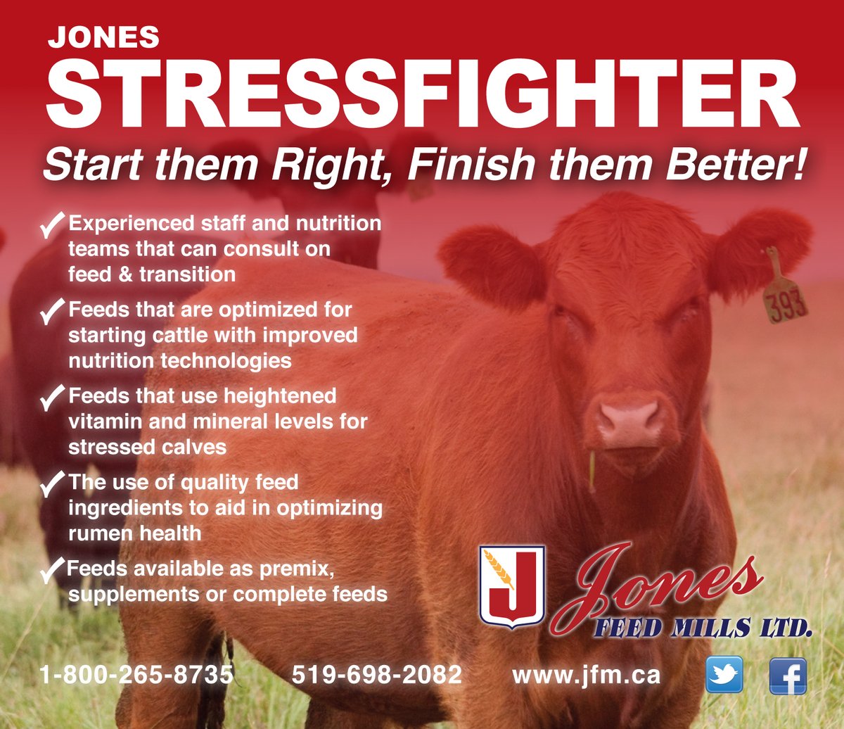Jones_Feed's tweet photo. It's Stressfighter season! As feedlots begin to fill for the winter get your cattle off to the best start possible. Contact our #JFMBeef team for details on Stressfighter and great tips on getting your cattle settled in. https://t.co/LmbPB5qJvV