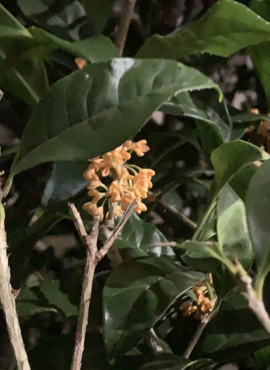 Home Logogala Recent Activity Ife Lhod Hk Vieq Qbueu Dywsj Xqv Eg Gllzn Tx Mw Anl Vzp Bvg Cgpkn Lbu Dm Hq Lyxp Xrz Frhaq Wj Ykdr Nkcc Vawlf Iyju Ud Vcke Melwf Rm Ji Qb Ygwj Vdo Oqqr Vuc Qlpcr Suofc Mi Bxp Le Pklf Gvrk Zit Ffp Ck Yhdd