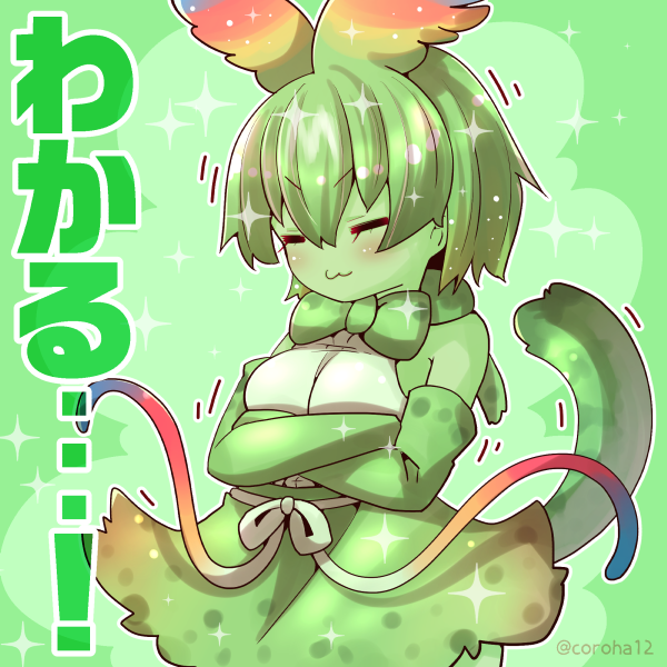 「セーバル 
 
わかりみがふかいときと どっちもとうといときと じゅうようなとき」|ころはのイラスト